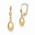 14k Yellow Gold Polished Dangle Leverback Earrings