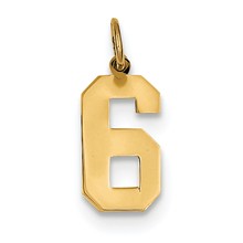14k Gold Medium Polished Number 6 Charm hide-image