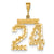 Large Diamond-cut Number 24 Charm in 14k Gold