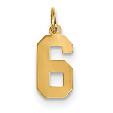 14k Gold Small Polished Number 6 Charm hide-image