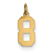 14k Gold Small Polished Number 8 Charm hide-image
