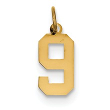 14k Gold Small Polished Number 9 Charm hide-image