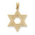 14k Gold Solid Polished Satin Star of David Charm hide-image