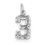 Sterling Silver Small Diamond-cut #3 Charm hide-image