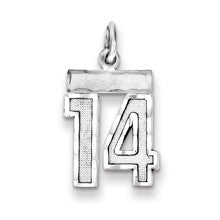 Sterling Silver Small #14 Charm hide-image