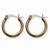 Stainle Steel Chocolate IP plated 19mm Hoop Earrings