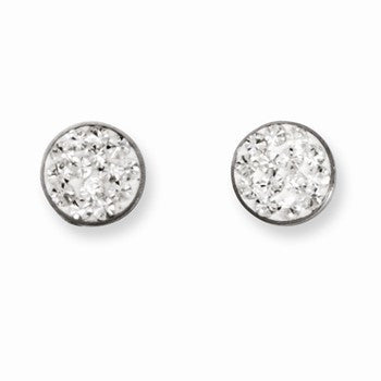 Stainle Steel Clear Crystal Post Earrings