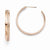 Stainle Steel Pink Earrings
