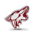 NHL Arizona Coyotes Enameled Logo Charm Bead in Sterling Silver