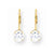 14k Yellow Gold 6mm Cubic Zirconia Leverback Earrings