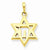 14k Gold Solid Polished Chai in Star of David Charm hide-image
