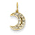 14k Gold Diamond Moon Charm hide-image