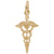 Caduceus Charm in Yellow Gold Plated