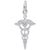 Caduceus Charm In Sterling Silver