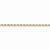14K Yellow Gold Diamond-Cut Rope with Lobster Clasp Chain Anklet
