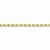 14K Yellow Gold Diamond-Cut Rope with Lobster Clasp Chain Anklet