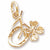 Good Luck Charm in 10k Yellow Gold hide-image