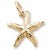 Starfish charm in Yellow Gold Plated hide-image