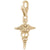 Caduceus Charm In Yellow Gold