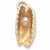 Shell With Pearl charm in Yellow Gold Plated hide-image