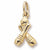 Bowling charm in Yellow Gold Plated hide-image