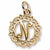 Initial N charm in 14K Yellow Gold