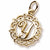 Initial Y charm in Yellow Gold Plated hide-image