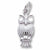 Owl charm in Sterling Silver hide-image