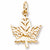 Maple Leaf, Canada charm in Yellow Gold Plated hide-image