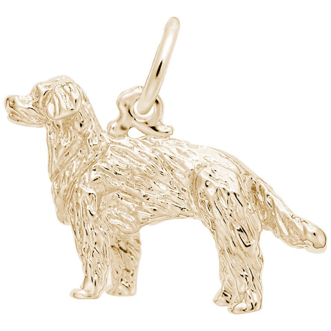 Gldn Retriever, Dog Charm In Yellow Gold