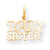 10k Yellow Gold Baby Sister Charm hide-image