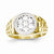 10k Yellow Gold & Rhodium Men's CZ Cluster Ring