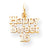 10k Yellow Gold HAPPY SWEET 16 Charm hide-image