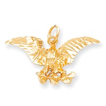 10k Yellow Gold EAGLE Charm hide-image