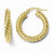 10k Yellow Gold Yellow Gold Polished Hinged Hoop Earrings