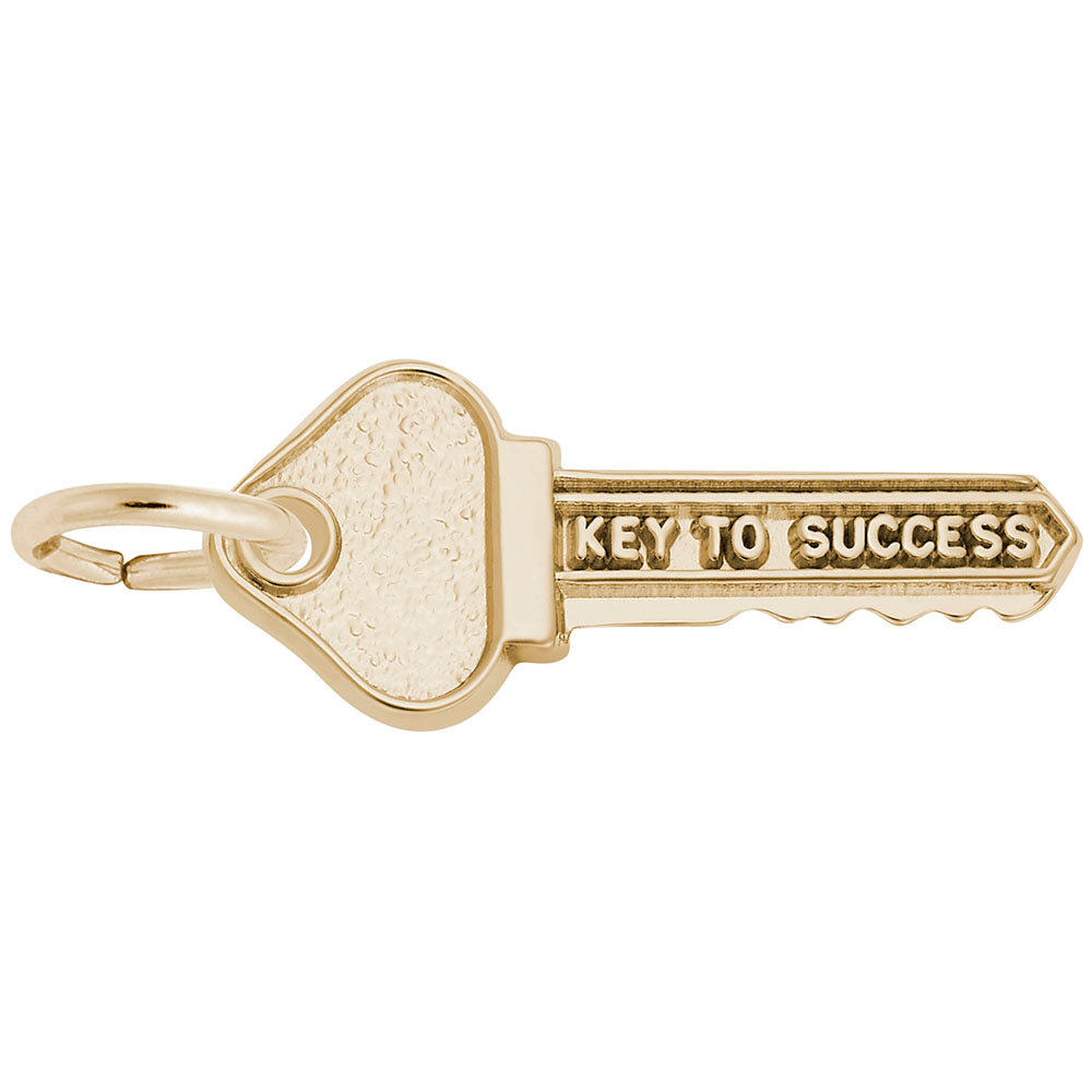 Dainty Yellow Gold Charms | Gold Key To Success Charm | CharmsToTreasure