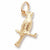 Canary charm in Yellow Gold Plated hide-image