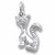 Cat charm in Sterling Silver hide-image