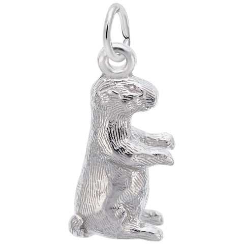 Groundhog Charm In 14K White Gold