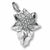 Poinsettia charm in 14K White Gold hide-image