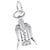 Corkscrew Charm In 14K White Gold