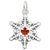 Cdn. Snow Flake Charm In 14K White Gold