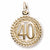 Number 40 in Yellow Gold Plated hide-image