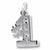 #1 Aunt charm in Sterling Silver hide-image