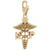 Nurse Practioner Charm in Yellow Gold Plated