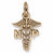 Nurse Practioner Charm in 10k Yellow Gold hide-image