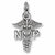 Nurse Practioner charm in Sterling Silver hide-image