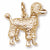 Poodle charm in Yellow Gold Plated hide-image