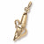 Banana charm in Yellow Gold Plated hide-image