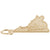 Virginia Charm in Yellow Gold Plated